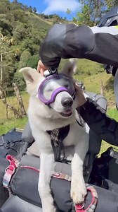 Very intelligent 😨 | M Madat