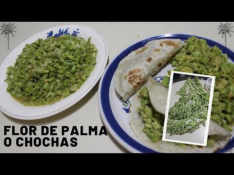 ¿Flor de Palma o Chochas?🌴¿Cómo se preparan? | Cocinando al día👩‍🍳