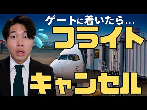 [Flight Cancelled] A male flight attendant arrives at work only to find his flight has been cance...