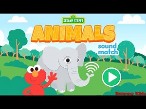 Elmo's Animal Sound Match | Sesame Street | Hammy Kids
