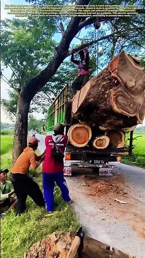 Ingenious Log Loading: How to Move Heavy Wood Like a Pro