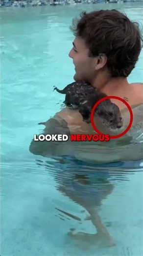 Tiny Otter Learns to Swim for the First Time🦦🥺