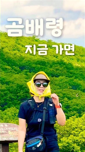 Gombaeryeong in June, here’s what it looks like if you go now. #Gombaeryeong #GombaeryeongWildflo...