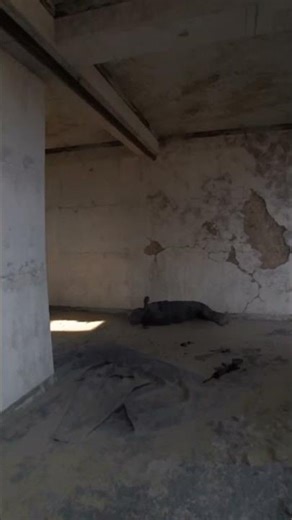 360 no scope? Nah, 360 no skill #bodycam #gaming #gameplayfps #4kgaming #gameplay #fps #pov