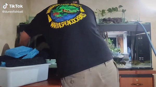 How to Clean Your Fish Tank Effectively