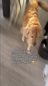 Le meilleur accueil 🥹