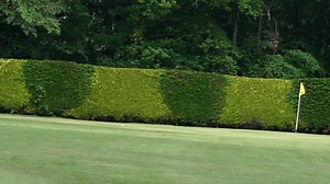 20K views · 137 reactions | Watch as we try to break 70 in golf, what is the lowest score you have ever shot? | Mark Crossfield | Facebook