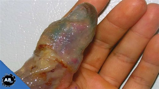 SnakeBytesTV - Killer Venomous Snakes!