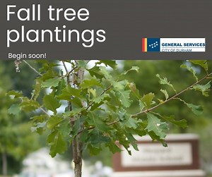 This Fall, look for new trees along several city streets! Our crews will begin their annual plantings in November & continue through March. We hope to plant 1,500 trees each year through 2025. Visit DurhamNC.gov/4330 to learn about our priority neighborhoods. | City of Durham, NC Government | Facebook