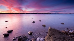 Rare Gallery wallpaper