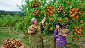 26K views · 459 reactions | #Harvesting Lots of Fresh Kiwi Making Kiwi Jam and Cake in the Village! | Outdoor Chef | Facebook