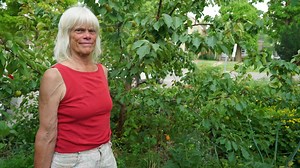 Fruits, nuts, herbs: Take a look inside a Londoner's "food forest"