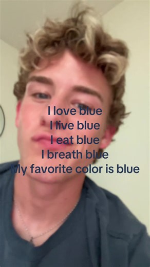 Exploring the Love for Blue: A Color of Life