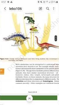What are the evidence for evolution ? evolution class 12th ncert lines