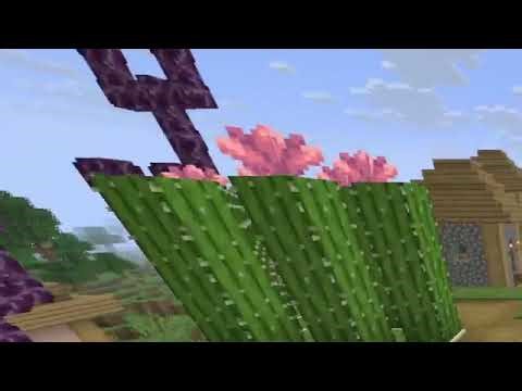 Blessing Smp: Server tour