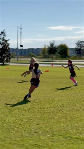 3d429d8a0f43409fb7e7692591c73155