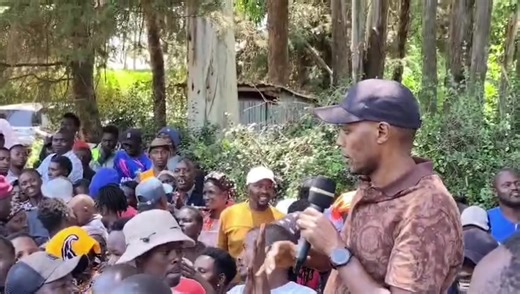 NK-MEDIA (@nkmedia6)’s videos with original sound - NK-MEDIA