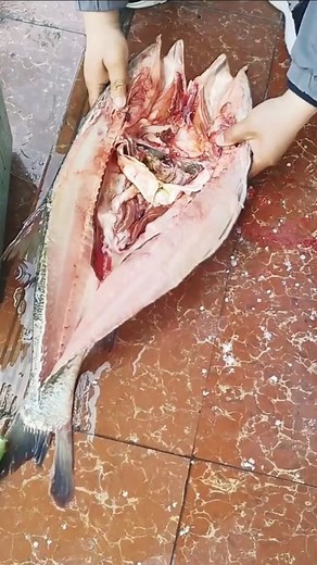 automatic fish dissection machine☺! #foryou #satisfying #fyp