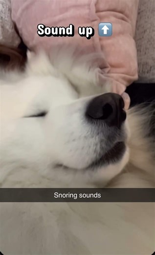 It’s the little mouth movements that really sells the cartoon like snoring