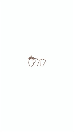 Omgg the stick can move 😱#bug #meme #animation #funnymemes #stickbug