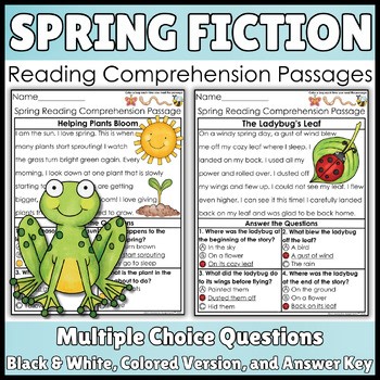 10 Spring Fiction Reading Comprehension Passages | 1st Grade 2nd Grade 3rd Grade