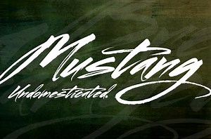 Mustang, a Script Font by robarnow