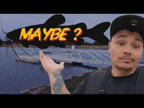 I Have Not Caught This Fish In Over A Decade | Challenge Time!!
