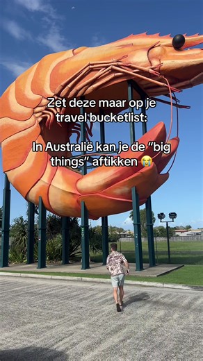 Big prawn, big banana, big lobster, big pineapple ✅ #bigthingsaustralia #bigprawn #australie #foryou