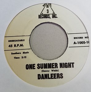 The Danleers - One Summer Night