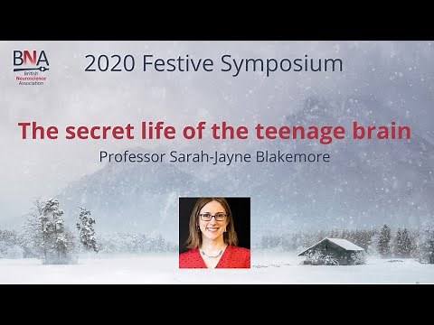 The secret life of the teenage brain - Professor Sarah-Jayne Blakemore