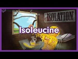 Isoleucine- Amino Acids Mnemonic for MCAT