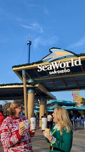 7.2K views · 106 reactions | From open to close, there's so much to enjoy during a full day (and night) of our Christmas Celebration. Come join the festive fun daily through January 5! There's still time to save up to 55% on tickets, Fun Cards and Passes before our Holiday Sale ends on 12/25! Shop now at https://bit.ly/4huBH9j | SeaWorld San Diego | Facebook