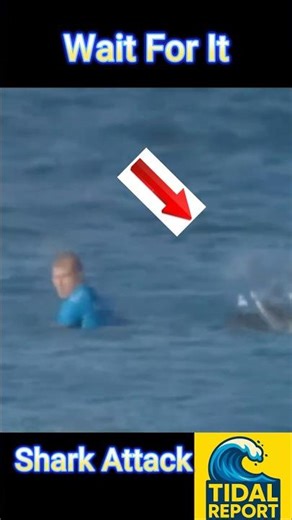 Shark Disrupts Surf Competition | Surfer’s Close Call Caught on Camera 🦈🌊
