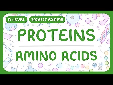 A-Level Biology - Proteins: Amino Acids | Dipeptides | How to Test for Proteins (2026/27 exams)