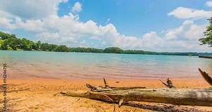 Beach Time Lapse with Fallen Tree in Foreground. a stripped tree trunk lying on a beach shore during a day time lapse. shot is at Lake Lanier in North Atlanta