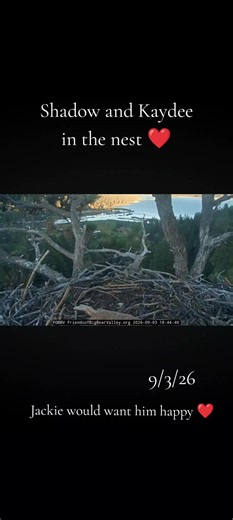 Shadow & Kaydee Bonding at Friends of Big Bear Valley Nest
