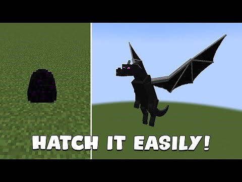 How to Hatch ENDER DRAGON Egg in Minecraft (All Editions)