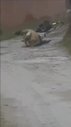 Bike Fails Compilation – Crashes & Epic Falls 😂