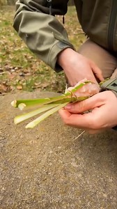 141K views · 448 reactions | Expert tips for a better camping experience | 5-Minute Crafts Men | Facebook