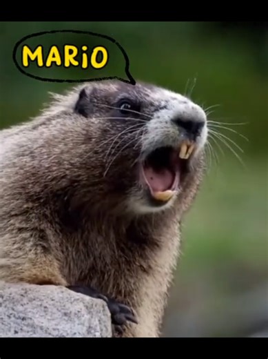 Quando mia mamma mi chiama e io non rispondo.. Vi capita anche a voi cosi ?? 🤣😂🫣 #CapCut #madre #figli #viral #fyp