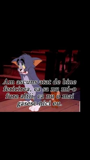 Animated Cat's Contemplation on Happiness