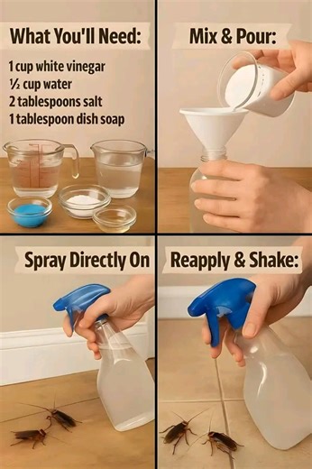 Homemade Cockroach & Ant Killer That Actually Works Nobody likes seeing roaches or ants crawling around their kitchen or bathroom. But let’s be real — harsh chemical sprays stink, can be toxic (especially around kids or pets), and they don’t always work as well as they promise. That’s why this homemade cockroach and ant spray is such a game changer. And the best part? You probably already have everything you need in your kitchen! 🧪 What You’ll Need: 1 cup white vinegar ½ cup water 2 tablespoons