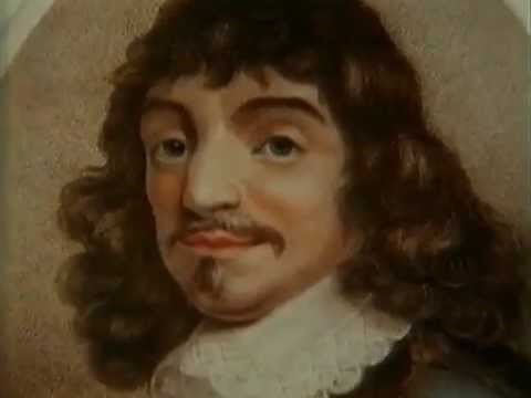 Consciousness: The Ghost in the Machine