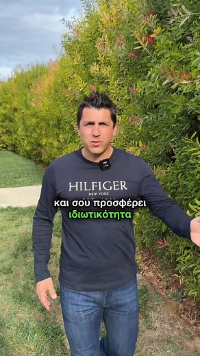 Θα έβαζες έναν τέτοιον Φυτοφράχτη;🤔 Γράψε μου στα σχόλια💬 | CC Gardens