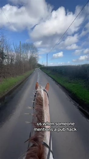 ross was far too excited for the pub @DeⓂ️i #pubhack #horses #connemara #appaloosa #fyp