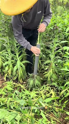 The Most SATISFYING Way to Peel Vegetables! 🥬💨 This Pipe Hack is Genius! #farming #farmhacks