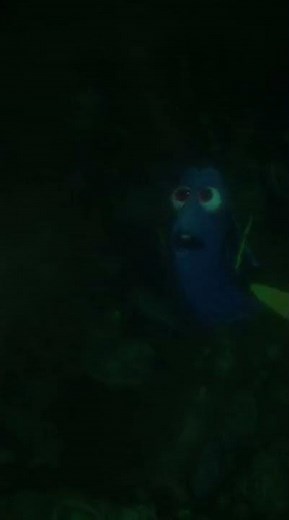 Dory Meets Marlin and Nemo in the Pipes | Bailey and Destiny Are Scared - Finding Dory Scene 62