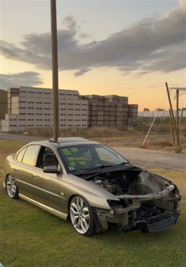 Powerful Lawn Mower Tips and Tricks for Better Performance