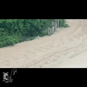 15K views · 164 reactions | SAINT LUCIA SURF LAUNCH & ESTUARY UPDATE‼️ Today’s surf launches and St Lucia estuary mouth update on the dropping tide 28-11-2023 | Fat Bike Fishing St Lucia | Facebook