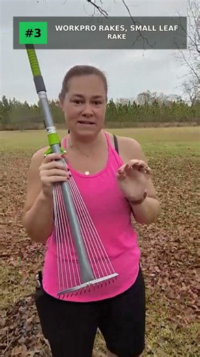 Top 5 Cordless Leaf Rakes 2026 #shorts